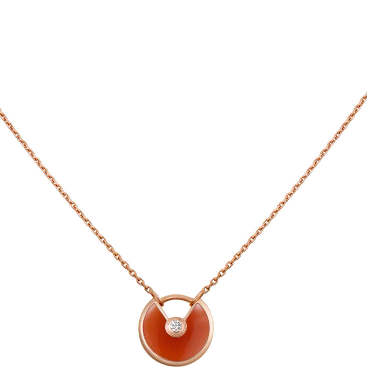 [Luxe]AMULETTE GOLD CARNELIAN ONYX NECKLACE